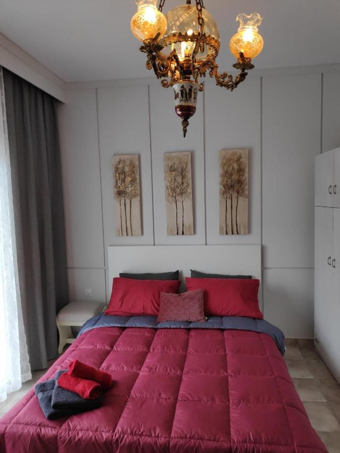 Cozy Apartments 科莫蒂尼 外观 照片
