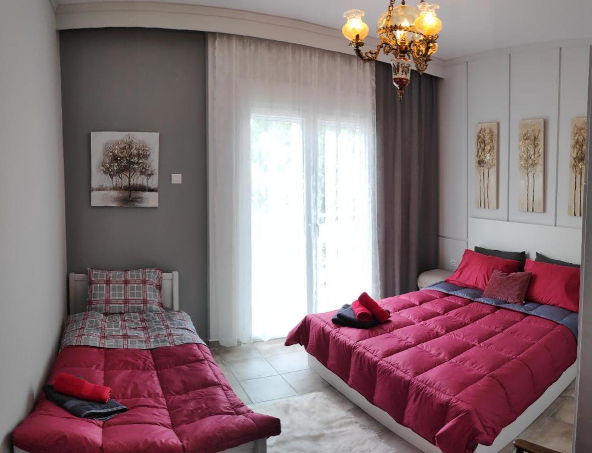 Cozy Apartments 科莫蒂尼 外观 照片
